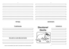 Dachs-Faltbuch-vierseitig-2.pdf